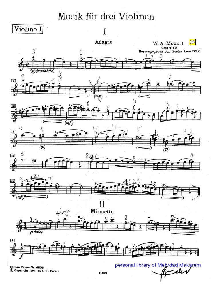 Mehrdad Makarem's Violin Collection | PDF