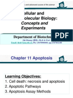 Cellular and Molecular Biology: Concepts and Experiments on Apoptosis