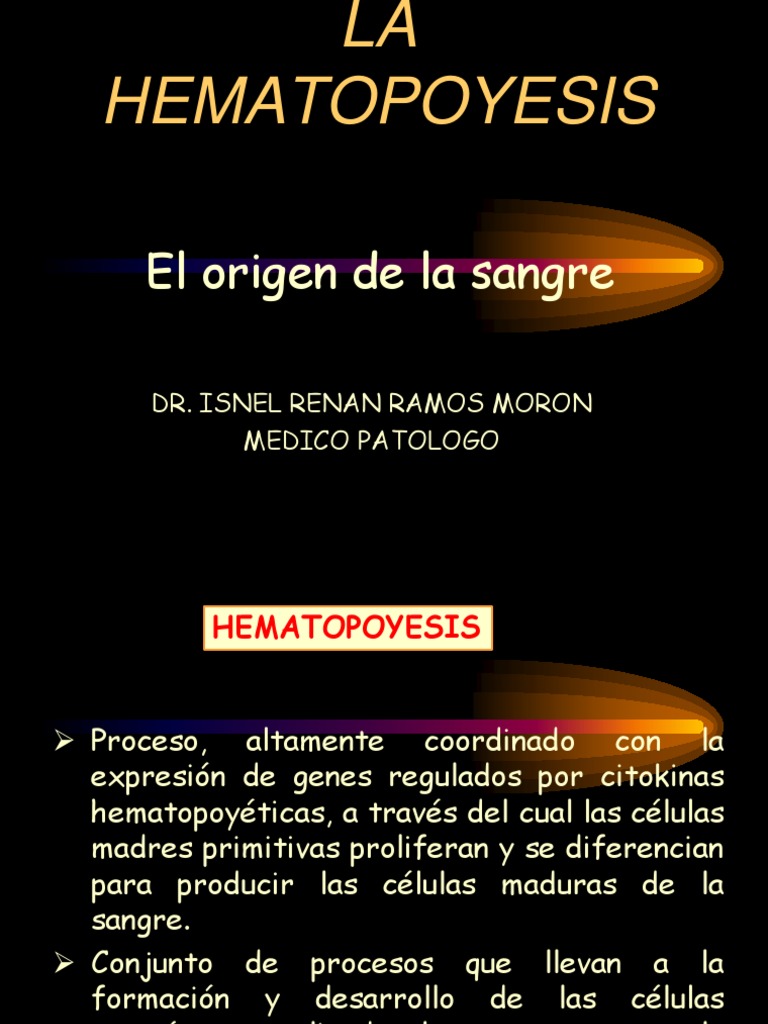 HEMATOPOYESIS | PDF | Linfocitos | Hematopoyesis, image size:768x1024