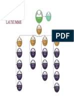 Org Chart Cizcar PDF