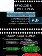 k01 - Embryologi & Anatomi Telinga