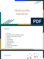 Obstrucción Intestinal