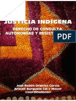 JusticiaIndigena Web PDF