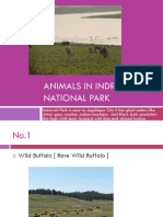 Animals in Indravati National Park