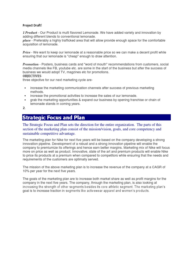 Strategic Focus and Plan: Project Draft! | PDF | Competitive Advantage ...