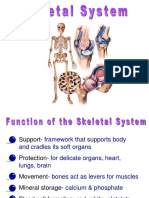 Powerpoint On Skeletal System