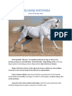 Beli Konj Svetovida PDF