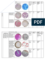Histology Table Reviewer