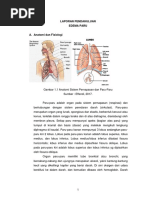 LP Edema Paru