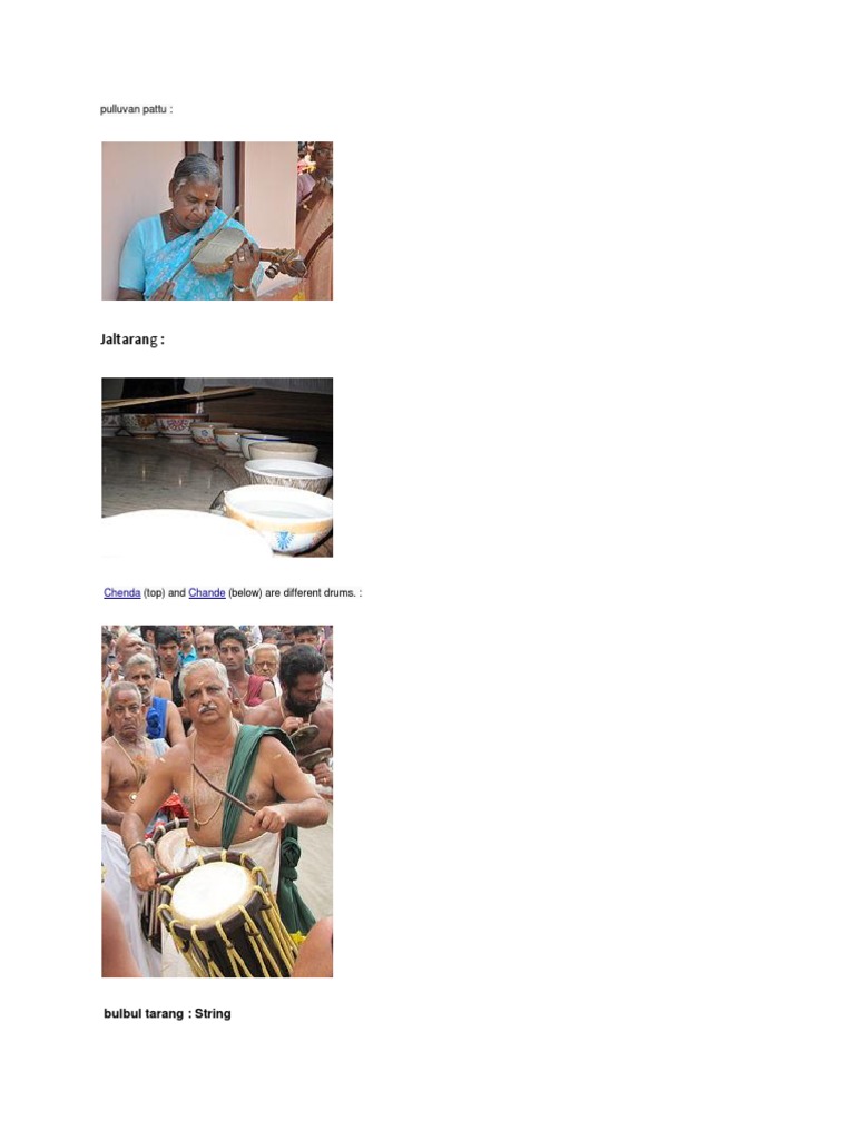 Indian Musical Instruments List | PDF