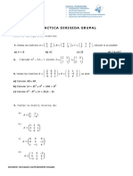 Practica Dirigida Grupal