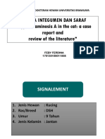 Sistema Neuromuskular Dan Saraf