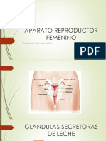 APATARO REPRODUCTOR FEMENINO.pptx