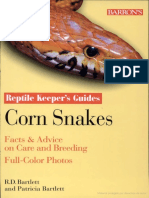 Corn Snake