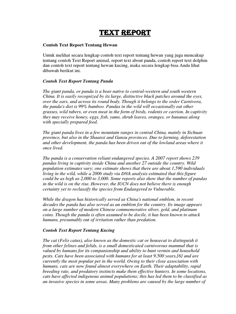 Contoh Text Report Hewan Lengkap | PDF | Giant Panda | Cats