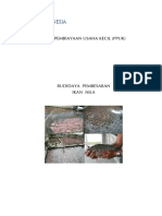 Nila BI PDF