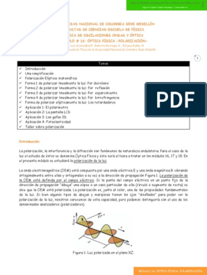 Película polarizada - Lámina de polarización lineal 12 X 17