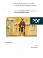 Lucrare Petraru Ok PDF