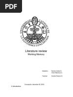 Literature Review: Working Memory