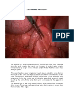 Anatomy and Physiology of the Appendix