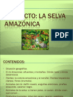 Proyecto Amazonia