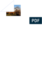 paisaje.docx