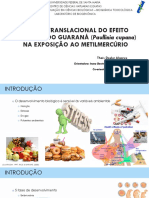 Apresentação Tese 14.08.18 - Final PDF