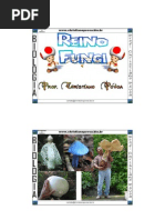 Download Biologia - Reino Fungi by Biologia Apostilas SN4037406 doc pdf