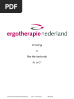 Netherlands Working Requirements.pdf