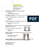 Biomagnetismo - Gripe