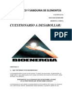 BIOENERGIA.pdf