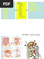 Presentación peritoneo.ppt