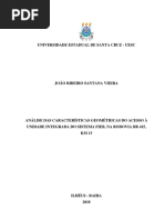 TCC JOAO RIBEIRO 2601.docx