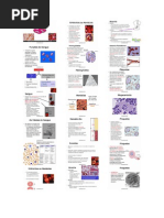 Biologia - Sangue