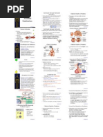 Biologia - Sistema Endócrino