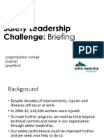 Safety Leadership Challenge: Briefing: (Organisation Name) (Name) (Position)