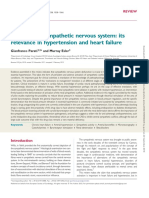 The Human Sympathetic Nervous System: Its Relevance in Hypertension and Heart Failure