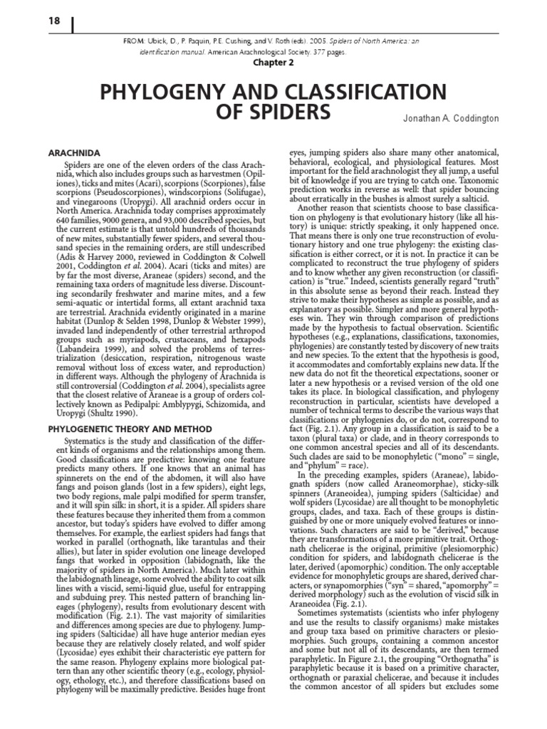 Phylogeny and Classification of Spiders: Arachnida | PDF | Spider ...
