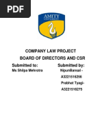 board of directors and csr.docx