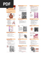 Biologia - Sistema Respiratório