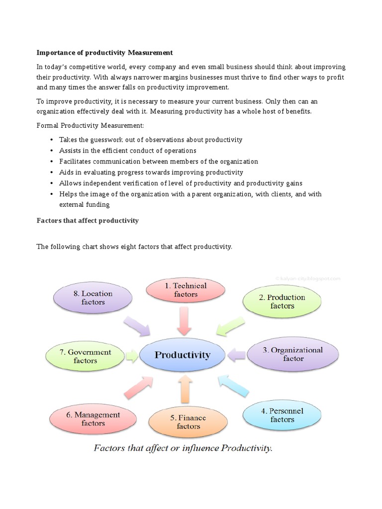 Importance of Productivity Measurement: Factors That Affect ...