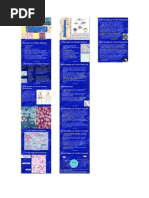 Biologia - Tecido Adiposo