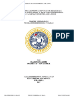 PKL PK BP 187-17 Pus T-Abstrak PDF