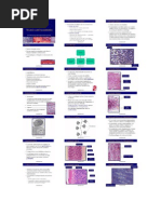 Biologia - Tecido Cartilaginoso
