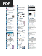 Biologia - Tecido Conjuntivo