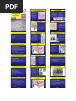 Biologia - Tecido Epitelial de Revestimento