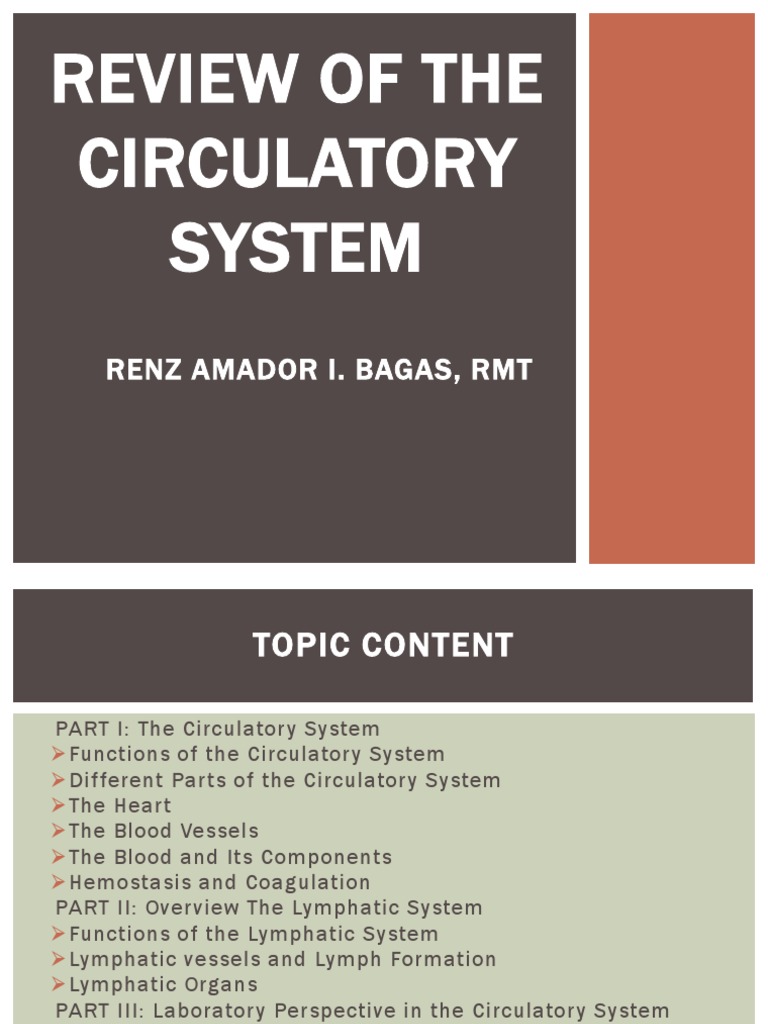 Circulatory and Lymphatic System Overview | PDF | Lymphatic System ...