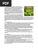 Google Sheets Ultimate Guide 2025 | PDF | Microsoft Excel | Spreadsheet
