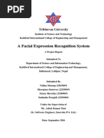 A Facial Expression Recognition System A PDF