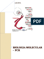 9 Imagens de Biologia Molecular PCR-1